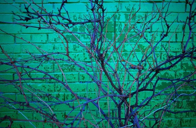 An intricate moss graffiti mural depicting intertwining branches and leaves on a brick wall in a city park, with subtle glow-in-the-dark elements highlighting its eco-conscious nature.