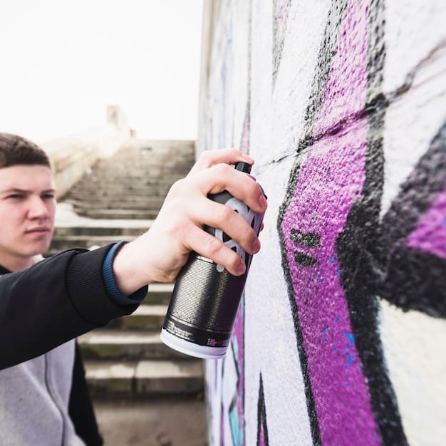 Protect Graffiti Art from Vandalism: US Artist Tips